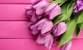 Выгонка на 8 Марта 25 февраля